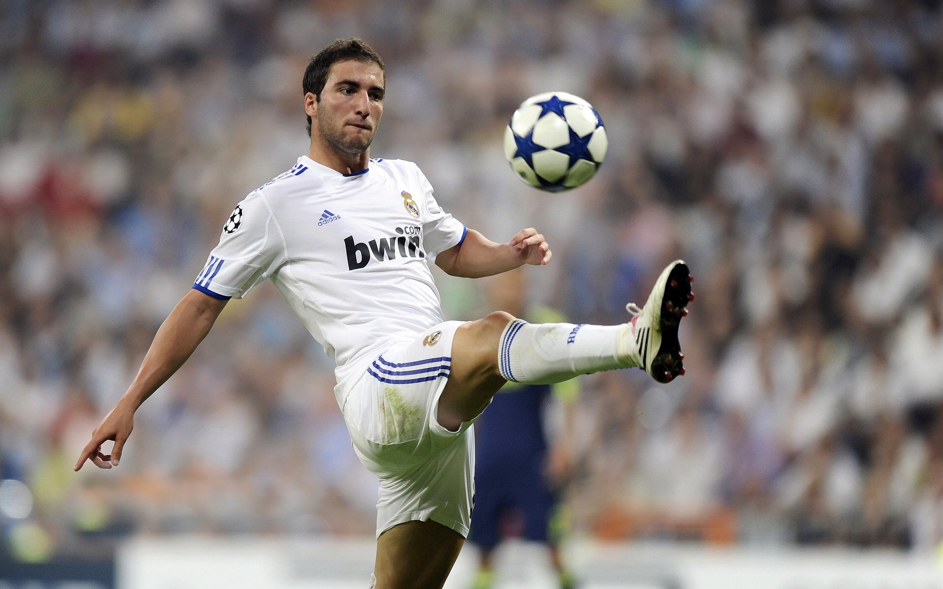 帕尔梅拉斯签下前锋保利尼奥，增强锋线实力，帕尔梅拉圣保罗